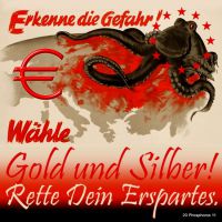 DH-Krake_Euro_Gefahr