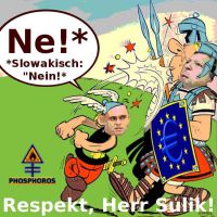 DH-Sulik_Asterix_haut_Barroso