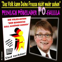 FW-cdu-pofalla-abdanken