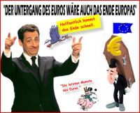 FW-euro-sarko-neujahrsansprache