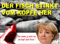 FW-merkel-fisch-kopf