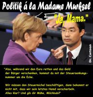 FW-steuersenkungen-merkel-roesler