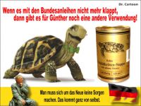 FW_schildkroete