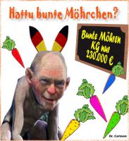 FW-schaeuble-bunte-moehren