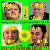 SilberRakete_Gruene-Hass