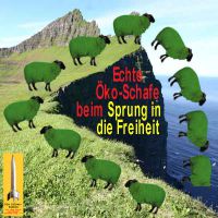 SilberRakete_Oeko-Schaf-Sprung-Freiheit