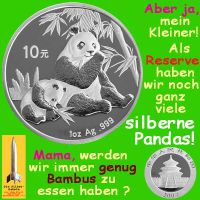 SilberRakete_Panda-Bambus-Essen-Silber