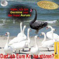 SilberRakete_Schwan-Germine-Kreise