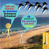 SilberRakete_Schwan-Gold-Silber-wachsen