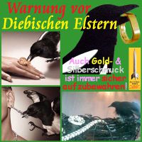 SilberRakete_Warunung-Elster-Schmuck