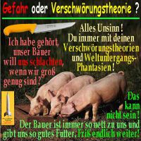 SilberRakete_3Schweine-schlachten-Messer-Verschwoerung