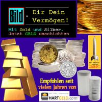 SilberRakete_BILD-Dir-Dein-Vermoegen-GOLD-SILBER