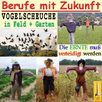 SilberRakete_Berufe-Zukunft-11_Vogelscheuche