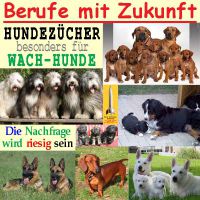 SilberRakete_Berufe-Zukunft-12_Hundezuechter