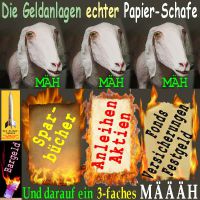 SilberRakete_Geldanlage-Papierschafe-Papiergeld-brennt-Feuer2