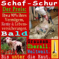 SilberRakete_Schaf-Schur-bald-grausam-blutig-Haut-weltweit2