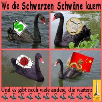 SilberRakete_Schwarze-Schwaene-USA-Haus-Dollar-EURO-Japan-Yen-China-Drache