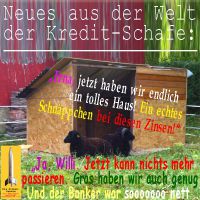 SilberRakete_Kredit-Schafe-Haus-niedrige-Zinsen-Gras-Banker-nett