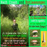 SilberRakete_Nach-Crash-Entlassungen-Hunger-Gruene-fressen-Gras-vegetarisch-vegan-kein-Naehrwert