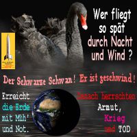 SilberRakete_Wer-fliegt-so-spaet-durch-Nacht-und-Wind-SchwarzerSchwan-geschwind-Muehe-Erde-dann-Armut-Krieg-Tod