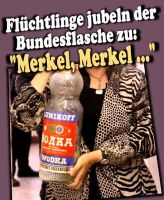 FW-merkel-2015a