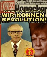 FW-revolution-ddr-1a