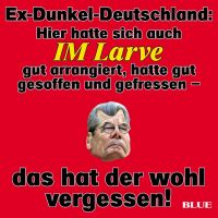 JB_IM_LARVE-DUNKEL-D