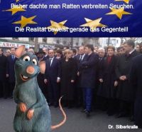 Ratten