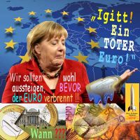 SilberRakete_Merkel-Igitt-Toter-Euro-Reichstag-Bundestag-Aussteigen-bevor-Euro-verbrennt-Wann3