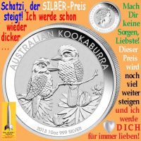 SilberRakete_SILBER-Kookaburra-Paar-dick-lieben-Herz2