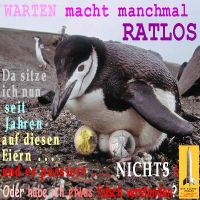 SilberRakete_Warten-macht-manchmal-ratlos-Pinguin-bruetet-auf-GOLD-SILBER-Liberty2