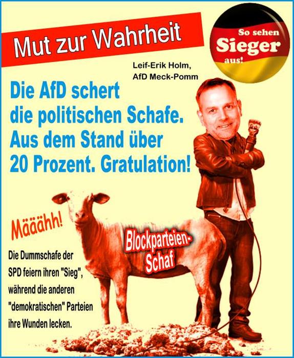 FW-afd2016-6a