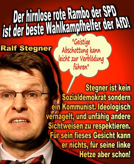 FW-spd-stegner2016-1a