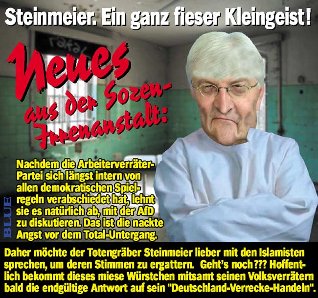 JB STEINMEIER FIES