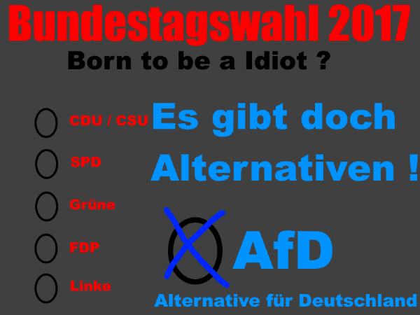 AN Idiotenwahl2017