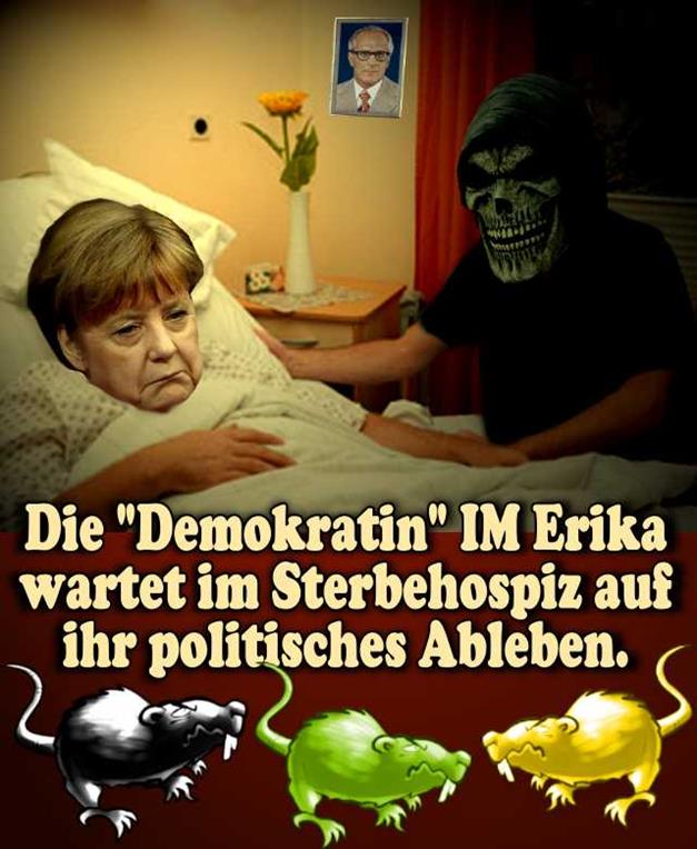 FW merkel2017 23a