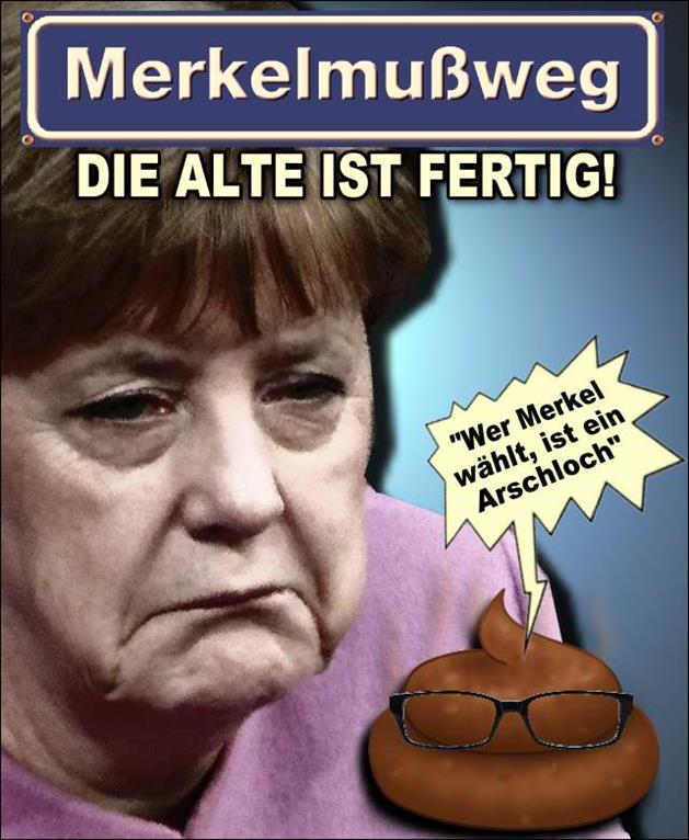 FW wahlen2017 7a