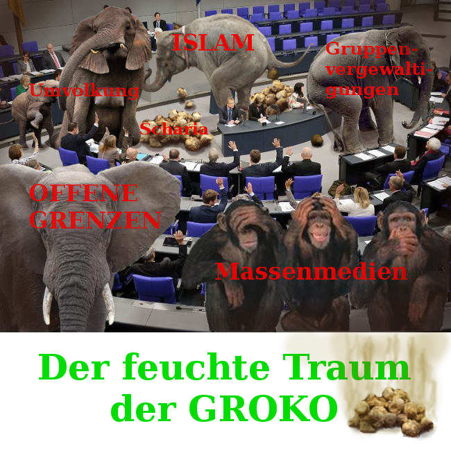 AN GROKO