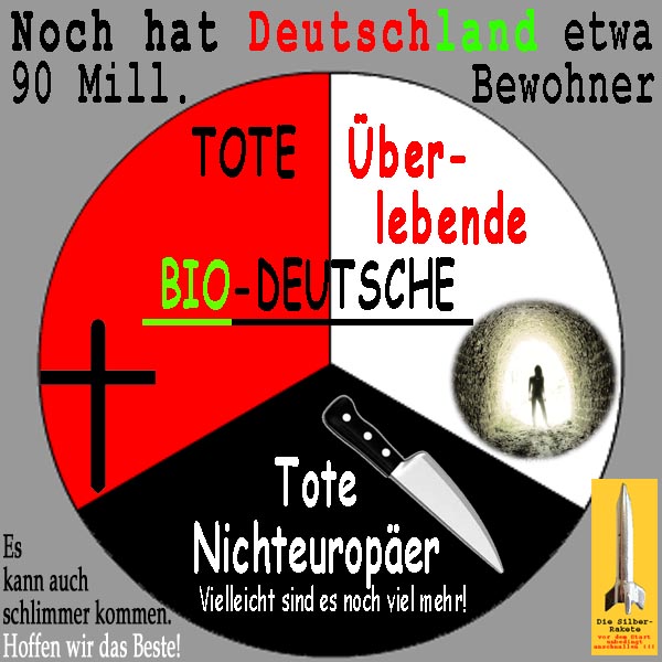 SilberRakete DE noch 90Mill Bewohner Jeweils EinDrittel Tote Ueberlebende BioDeutsche Nichteuropaeer