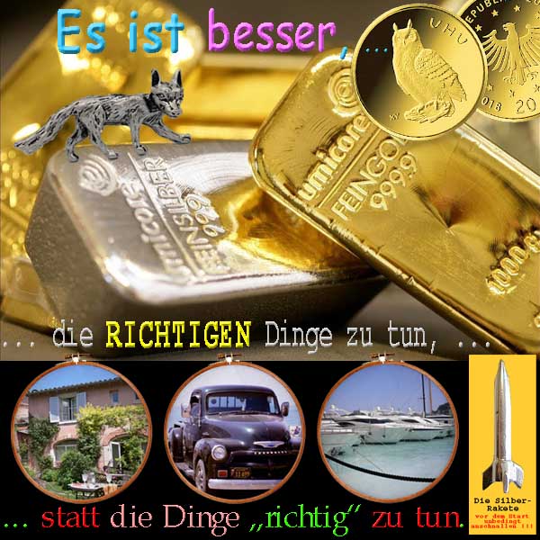 SilberRakete Silberfuchs GOLD SILBER Besser richtige Dinge tun statt Dinge richtig tun Haus Auto Boot