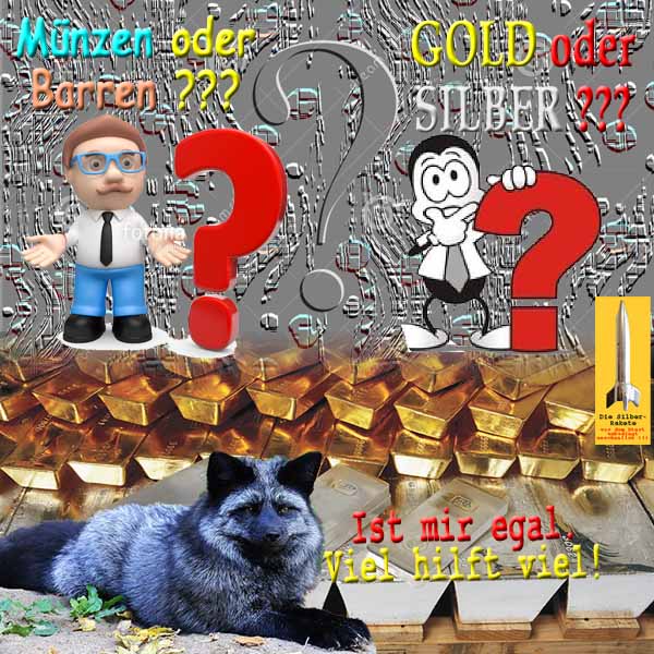 SilberRakete Fragen Muenzen oder Barren GOLD oder SILBER Silberfuchs Ist mir egal Viel hilft viel