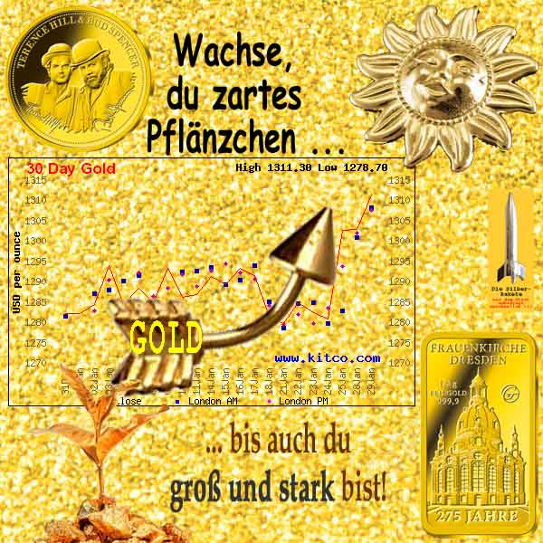 SilberRakete GOLD Preis Anstieg Wachse zartes Pflaenzchen Sonne bis gross stark Frauenkirche