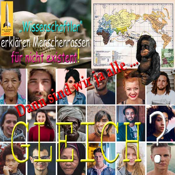 SilberRakete Wissenschaftler erklaeren Menschenrassen fuer nicht existent Affe Dann sind alle gleich
