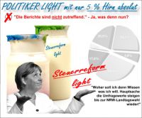 FW-steuerreform-light