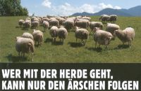 wer-mit-der-herde-geht